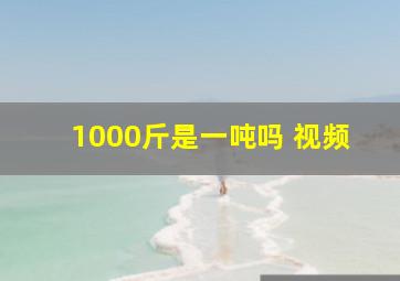 1000斤是一吨吗 视频